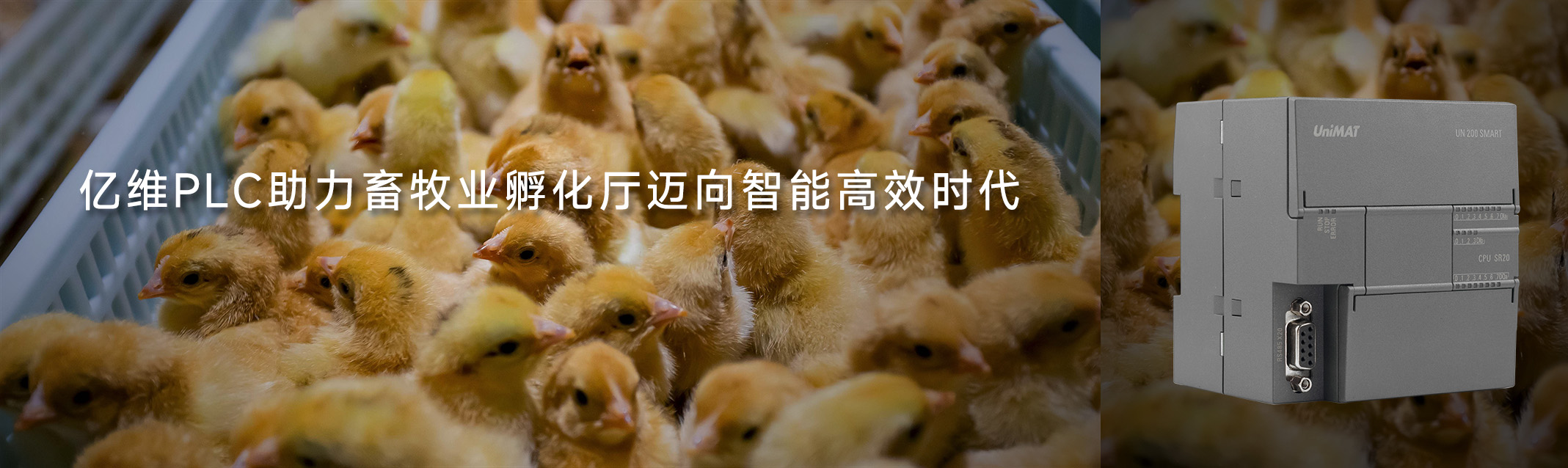 威廉希尔PLC助力畜牧业孵化厅迈向智能高效时代
